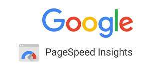 Google PageSpeed Insights logo