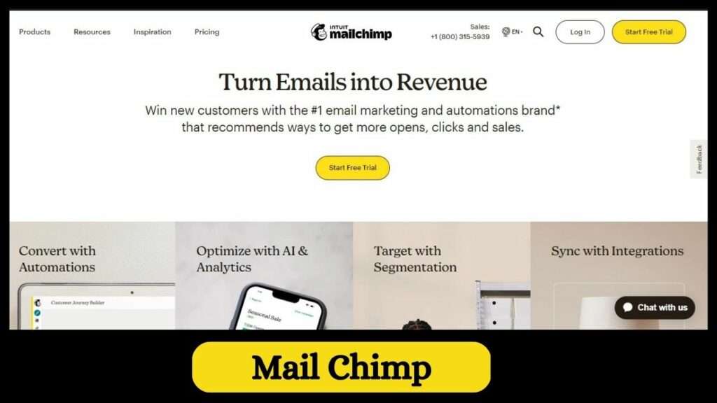 Mail chimp turn email into revenue