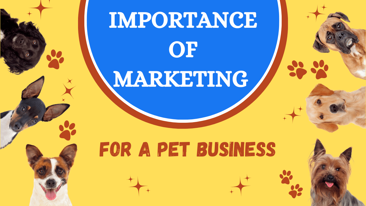 Importance of Marketing for a Pet Business